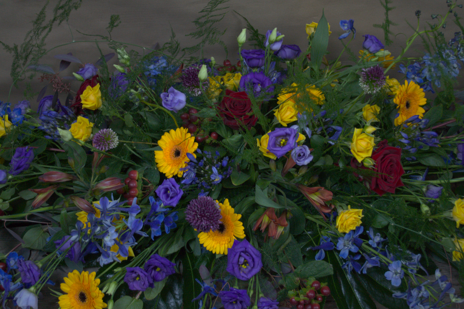 Blue , Red and Yellow Casket - Quality Flowers from Ann's Flowers - Just £165! Shop now at Ann's Flowers