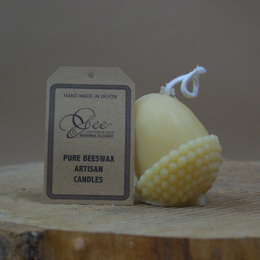Acorn Beeswax Candle - Quality Flowers from Beeswax Alchemy - Just £10! Shop now at Ann's Flowers