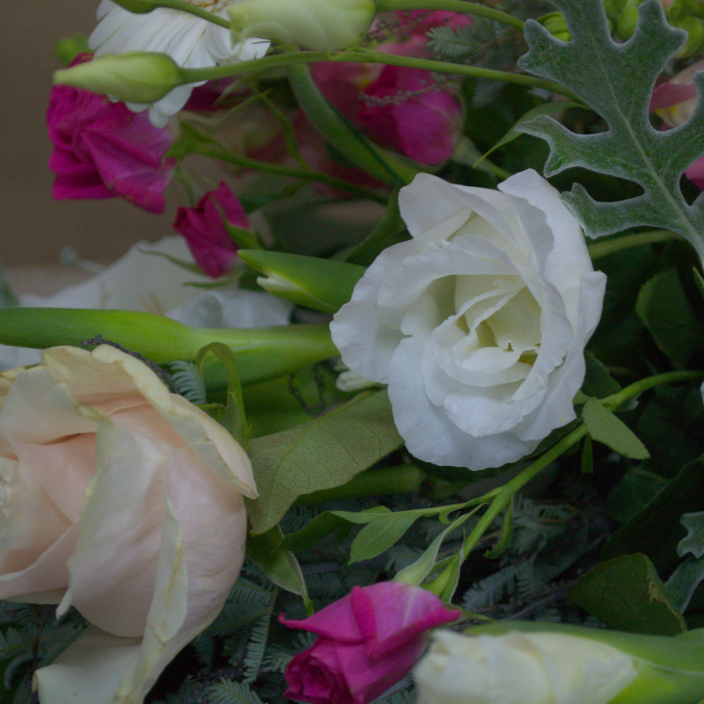 Pink and Ivory Single ended spray - Quality Flowers from Ann's Flowers - Just £37.95! Shop now at Ann's Flowers