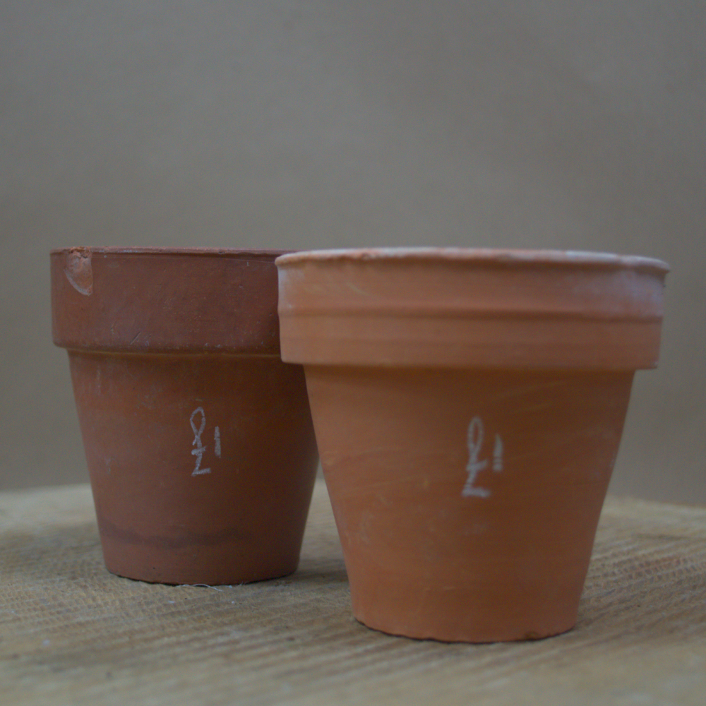 Assorted Ceramic Pots - Quality Flowers from Ann's Flowers - Just £0.95! Shop now at Ann's Flowers