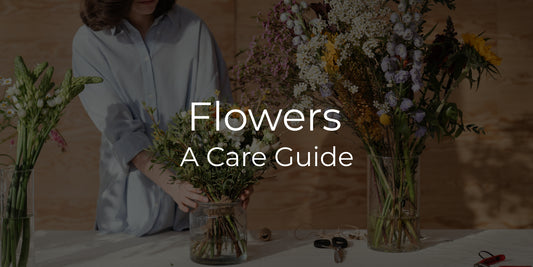 Flowers - A Care Guide