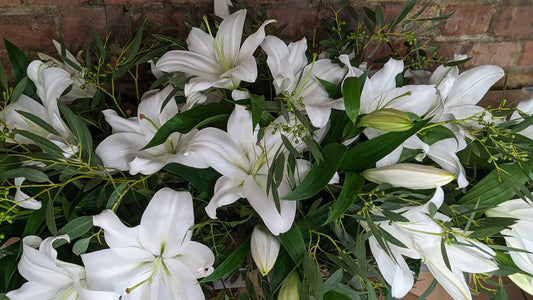 Lily Casket - Quality Flowers from Ann's Flowers - Just £100! Shop now at Ann's Flowers