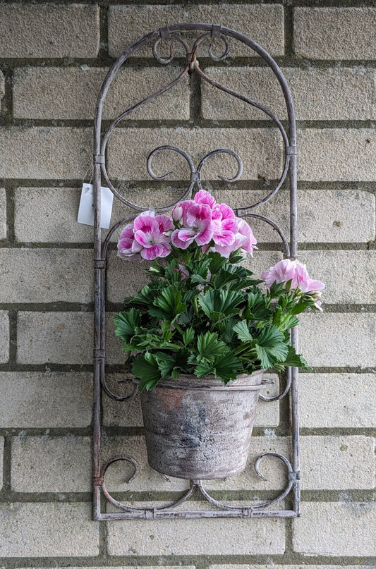 Vintage Wall Planter - Quality Flowers from Ann's Flowers - Just £29.50! Shop now at Ann's Flowers