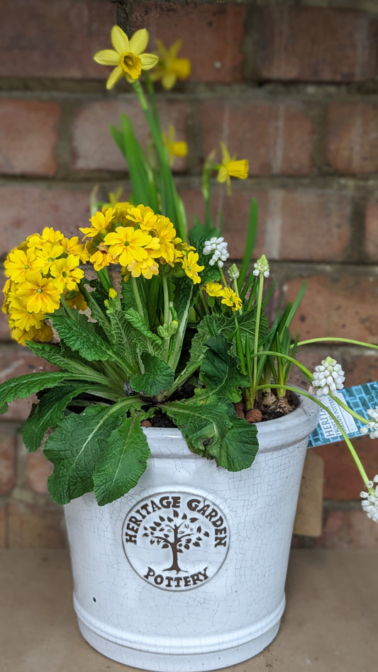 Planter - Quality Flowers from Ann's Flowers - Just £25! Shop now at Ann's Flowers